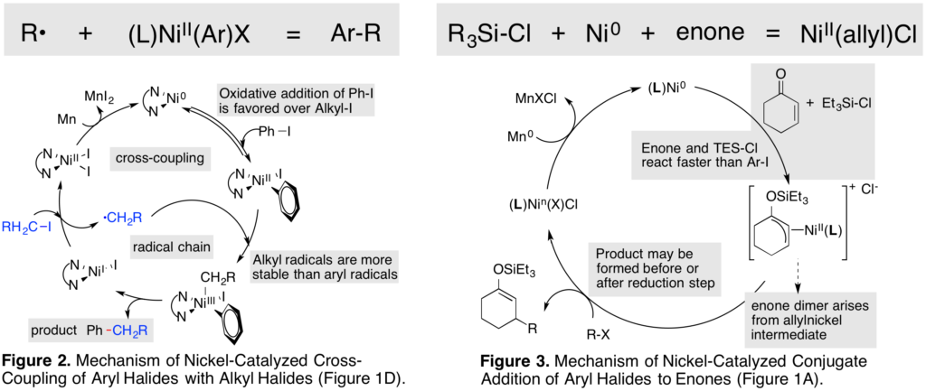 Figure 2 and Figure 3.
Figure 2. Mechanism of Nickel-Catalyzed Cross-Coupling of Aryl Halides with Alkyl Halides.
Figure 3. Mechanism of Nickel-Catalyzed Conjugate Addition of Aryl Halides to Enones.