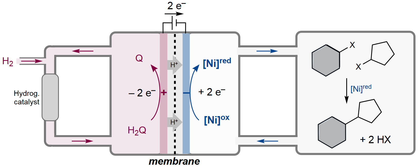 TOC graphic for "Quinone-mediated hydrogen anode for non-aqueous reductive electrosynthesis"