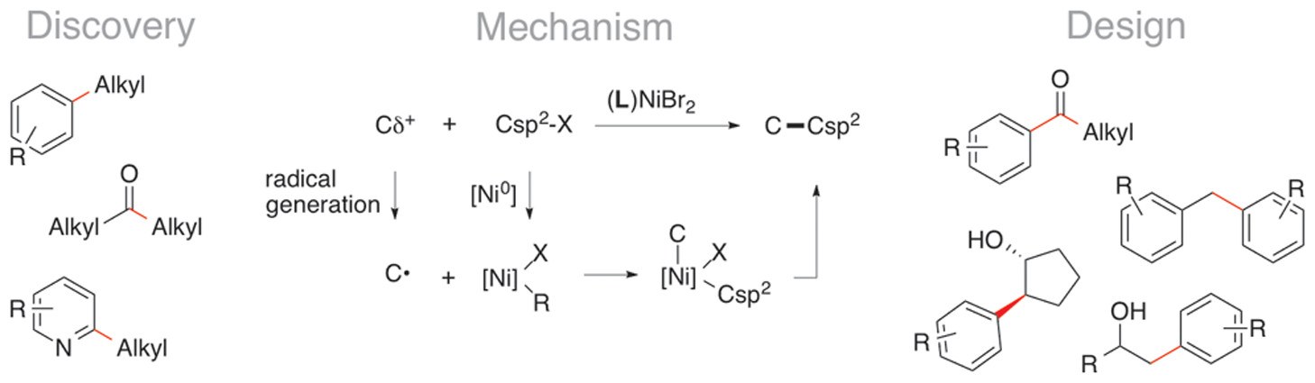 TOC graphic for "Methods and Mechanisms for Cross-Electrophile Coupling of Csp2 Halides with Alkyl Electrophiles"