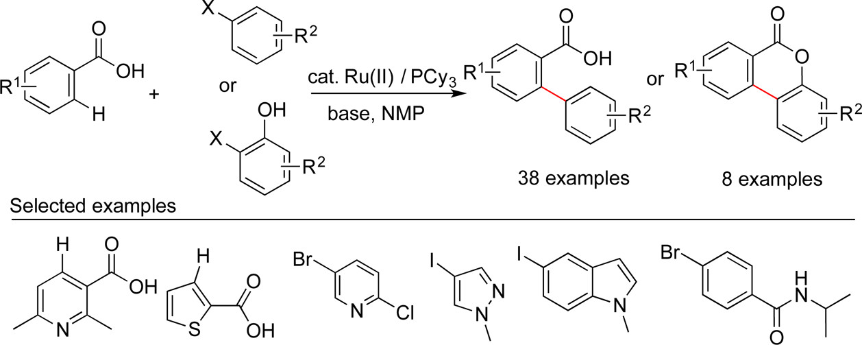 TOC graphic for "Ruthenium-Catalyzed C-H Arylation of Diverse Aryl Carboxylic Acids with Aryl and Heteroaryl Halides"