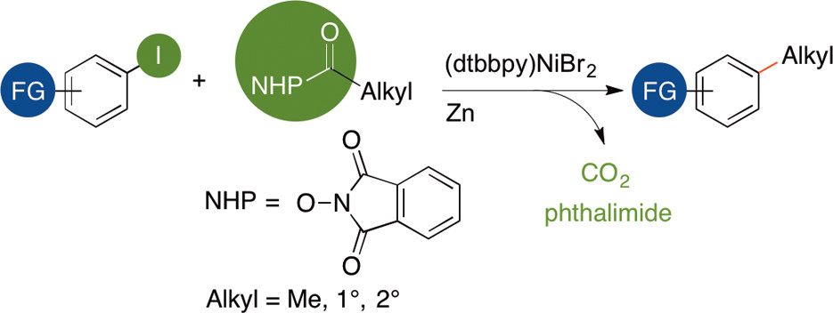 TOC graphic for "Decarboxylative Cross-Electrophile Coupling of N-Hydroxyphthalimide Esters with Aryl Iodides"