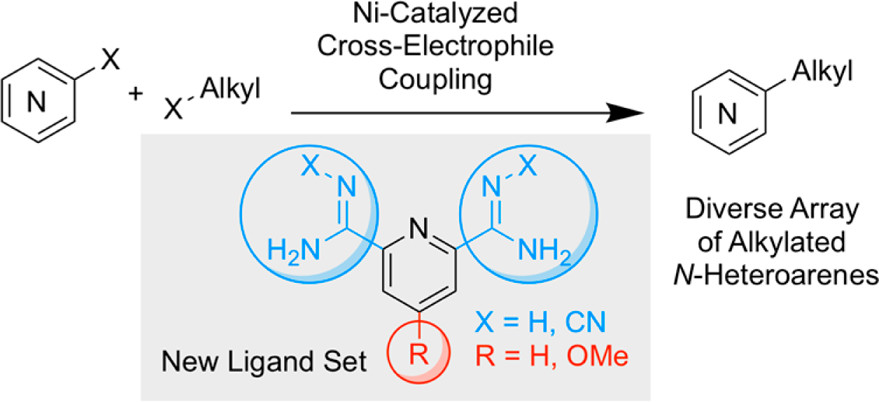 TOC graphic for "Coupling of Challenging Heteroaryl Halides with Alkyl Halides via Nickel-Catalyzed Cross-Electrophile Coupling"