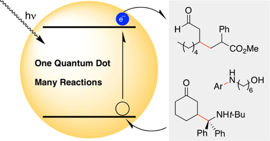 TOC graphic for "General and Efficient C-C Bond Forming Photoredox Catalysis with Semiconductor Quantum Dots"