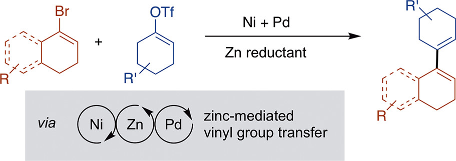TOC graphic for "Multimetallic Ni- and Pd-Catalyzed Cross-Electrophile Coupling To Form Highly Substituted 1,3-Dienes"