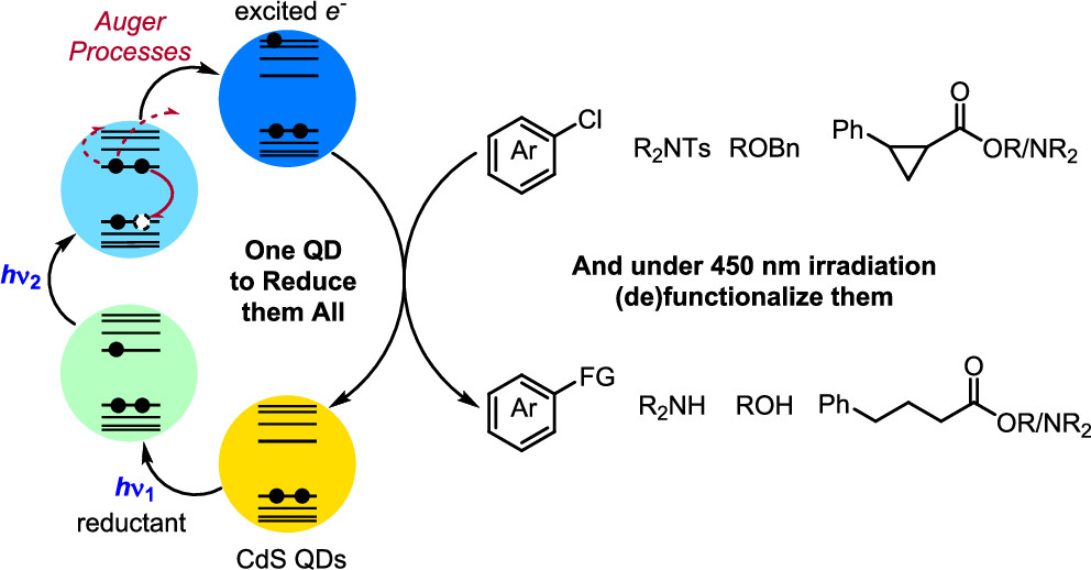 TOC graphic for "CdS Quantum Dots as Potent Photoreductants for Organic Chemistry Enabled by Auger Processes"