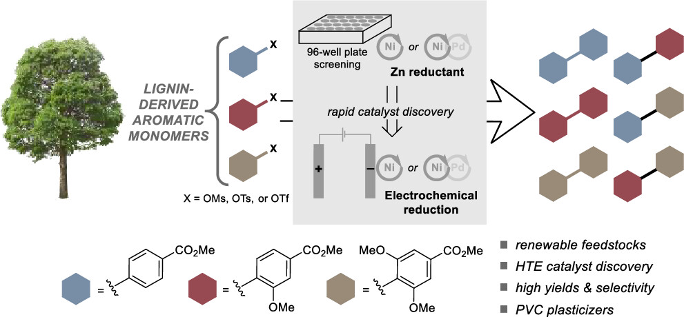 TOC graphic for "Ni- and Ni/Pd-Catalyzed Reductive Coupling of Lignin-Derived Aromatics to Access Biobased Plasticizers"