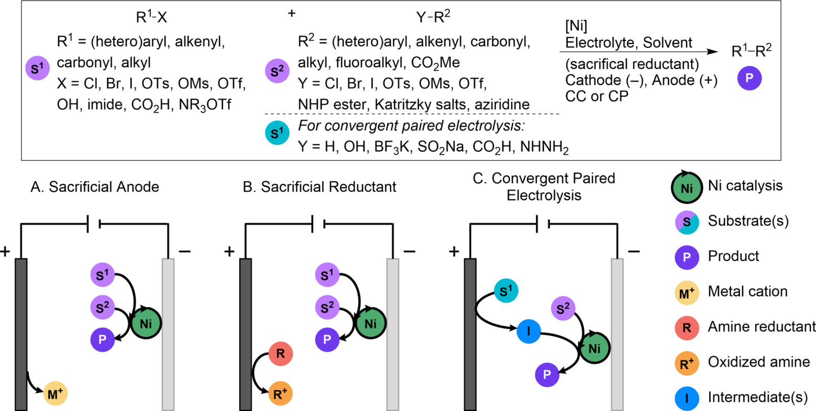 TOC graphic for "Recent Advances in Electrochemical, Ni-Catalyzed C−C Bond Formation"