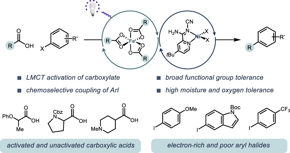 TOC graphic for "Decarboxylative Cross-Coupling Enabled by Fe and Ni Metallaphotoredox Catalysis"