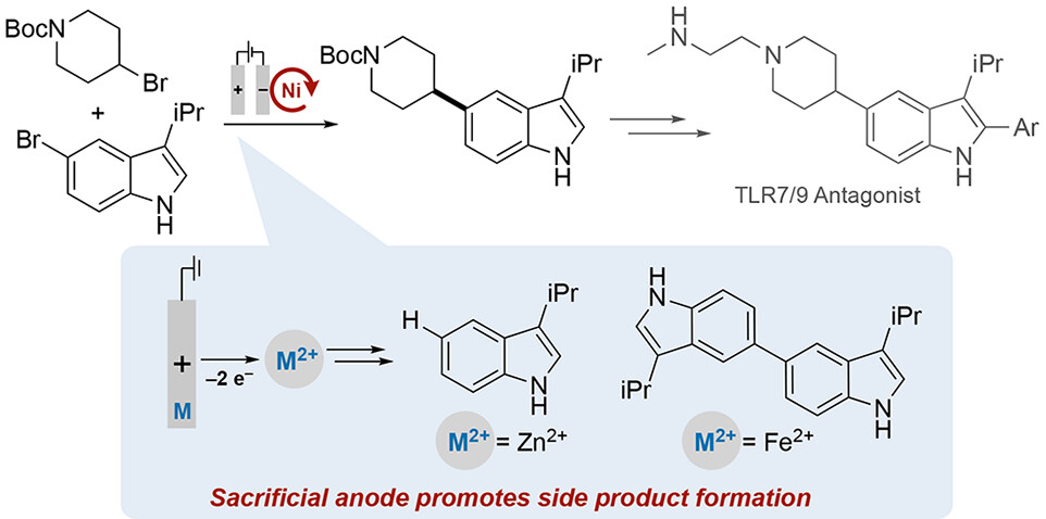 TOC graphic for "Non-Innocent Role of Sacrificial Anodes in Electrochemical Nickel-Catalyzed C(sp2)–C(sp3) Cross-Electrophile Coupling"