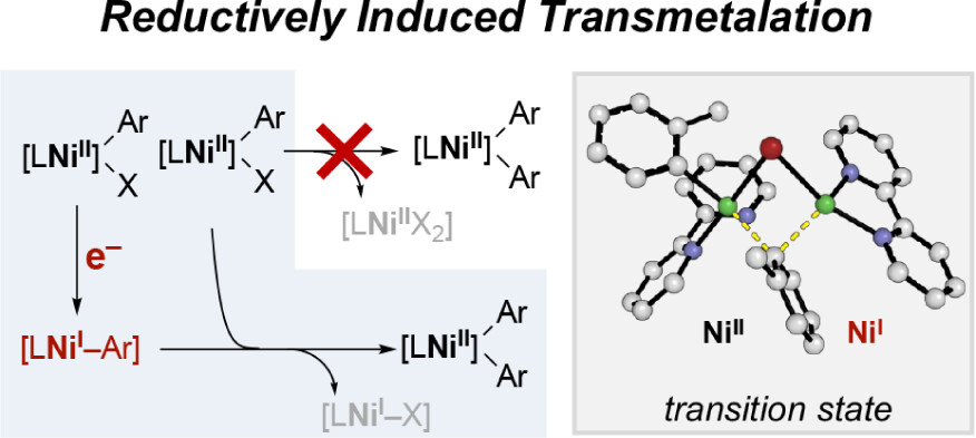 TOC graphic for "Reductively Induced Aryl Transmetalation: An Alternative Catalytically Relevant Ni-Catalyzed Biaryl Coupling Mechanism"