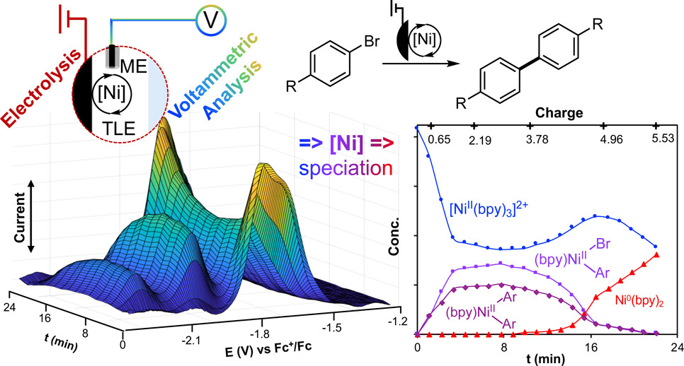 TOC graphic for "Operando Analysis of Nickel Catalyst Speciation in Reductive Biaryl Synthesis Using Thin Layer Electrochemistry and a Microelectrode"