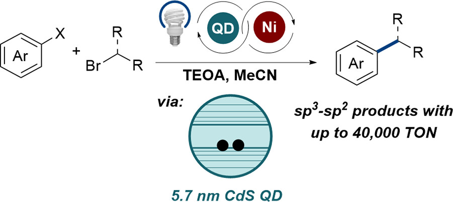 TOC graphic for "CdS Quantum Dots for Metallaphotoredox-Enabled Cross-Electrophile Coupling of Aryl Halides with Alkyl Halides"