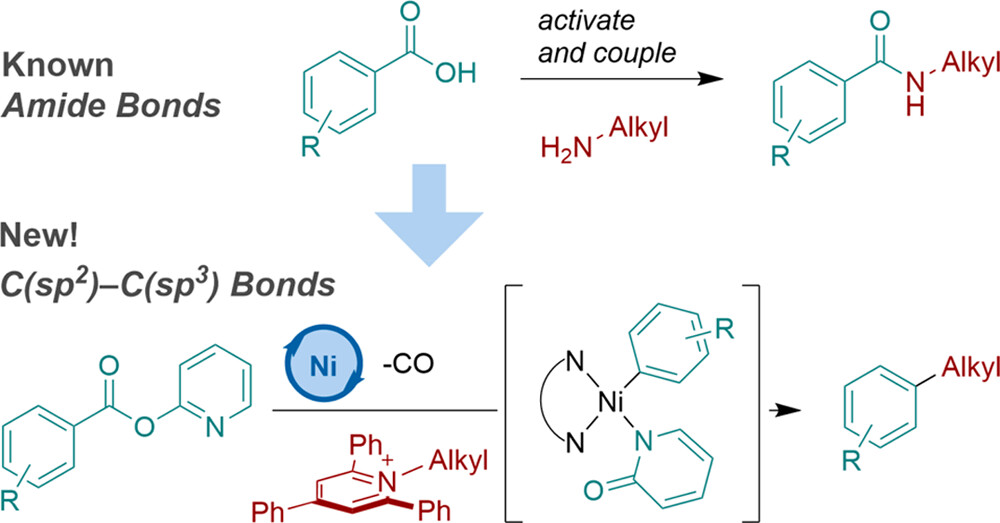 TOC graphic for "Formation of C(sp2)–C(sp3) Bonds Instead of Amide C–N Bonds from Carboxylic Acid and Amine Substrate Pools by Decarbonylative Cross-Electrophile Coupling"